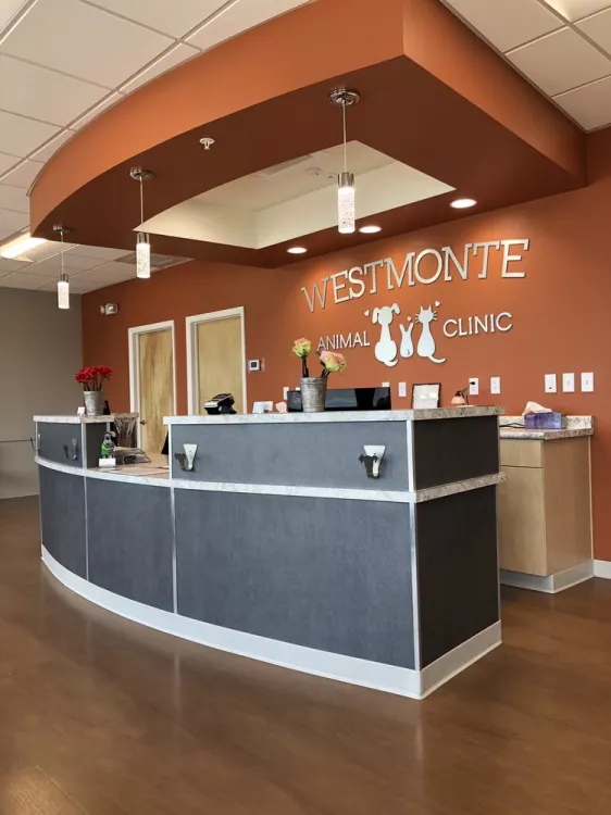 Westmonte Animal Clinic, Florida, Altamonte Springs